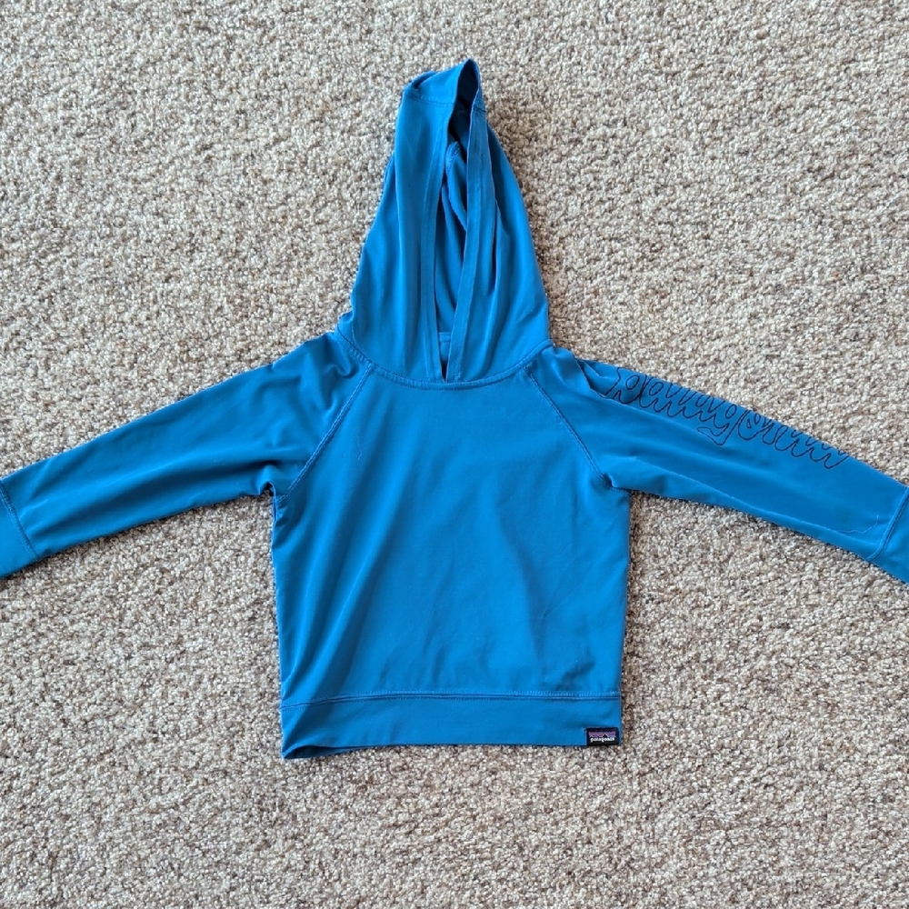 Patagonia Teal Hoodie with Logo